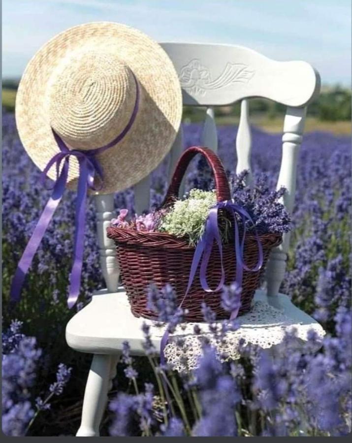 Villa Grange Voutée avec jardin Mane  Esterno foto