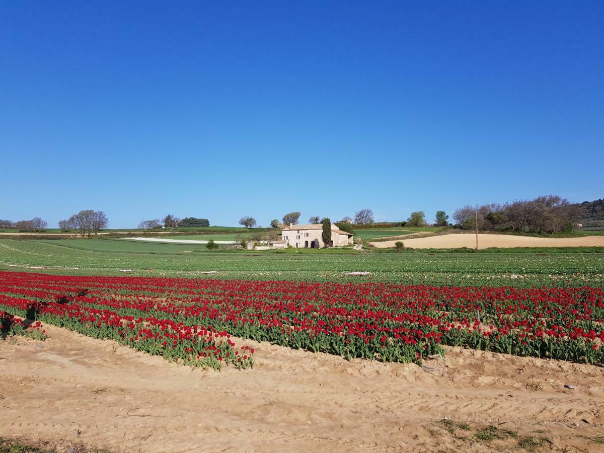 Villa Grange Voutée avec jardin Mane  Esterno foto