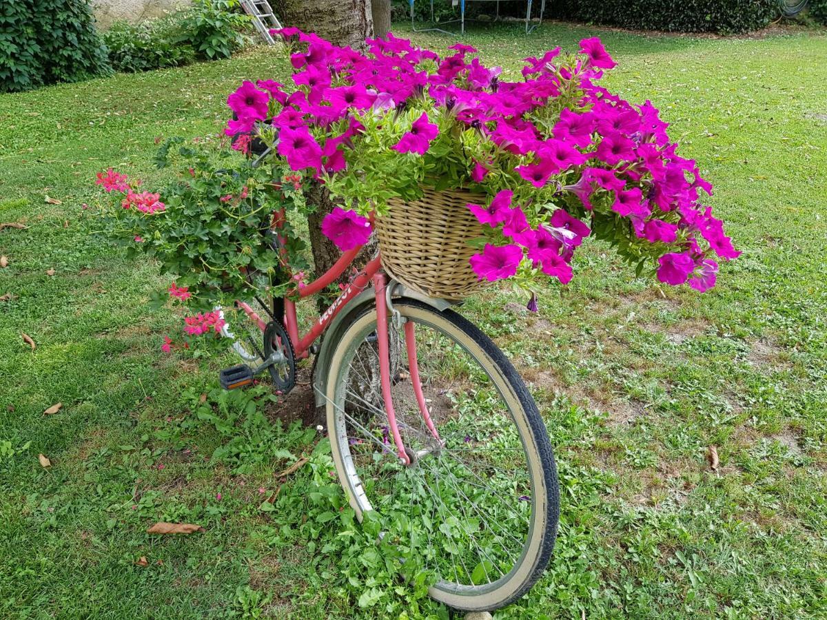 Villa Grange Voutée avec jardin Mane  Esterno foto